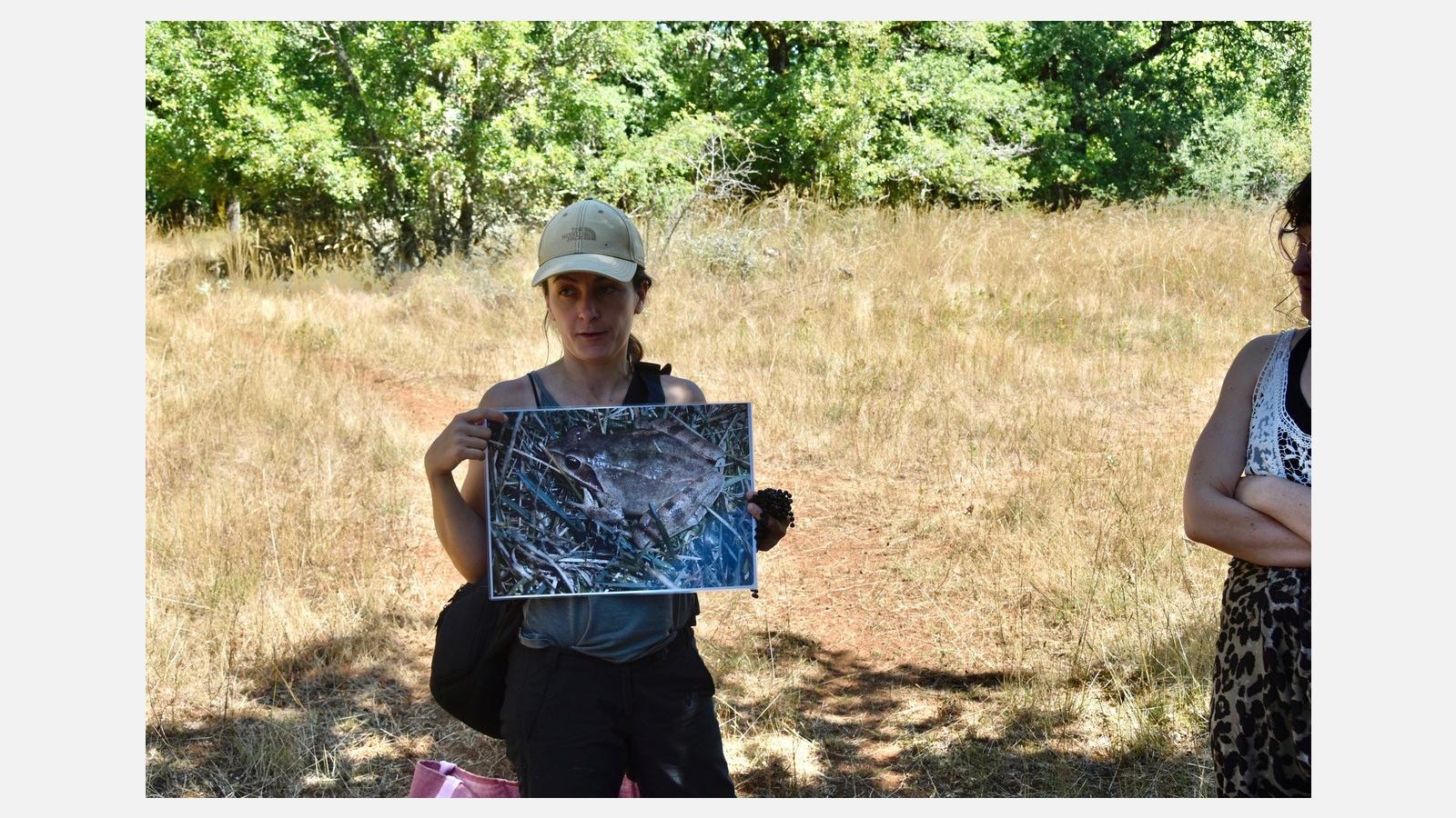 Découverte des amphibiens sur le Sentier de Lou Finot