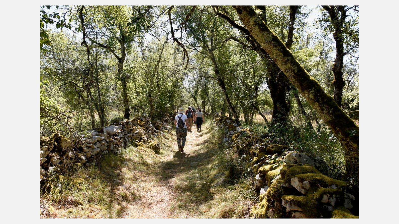 Découverte des amphibiens sur le Sentier de Lou Finot