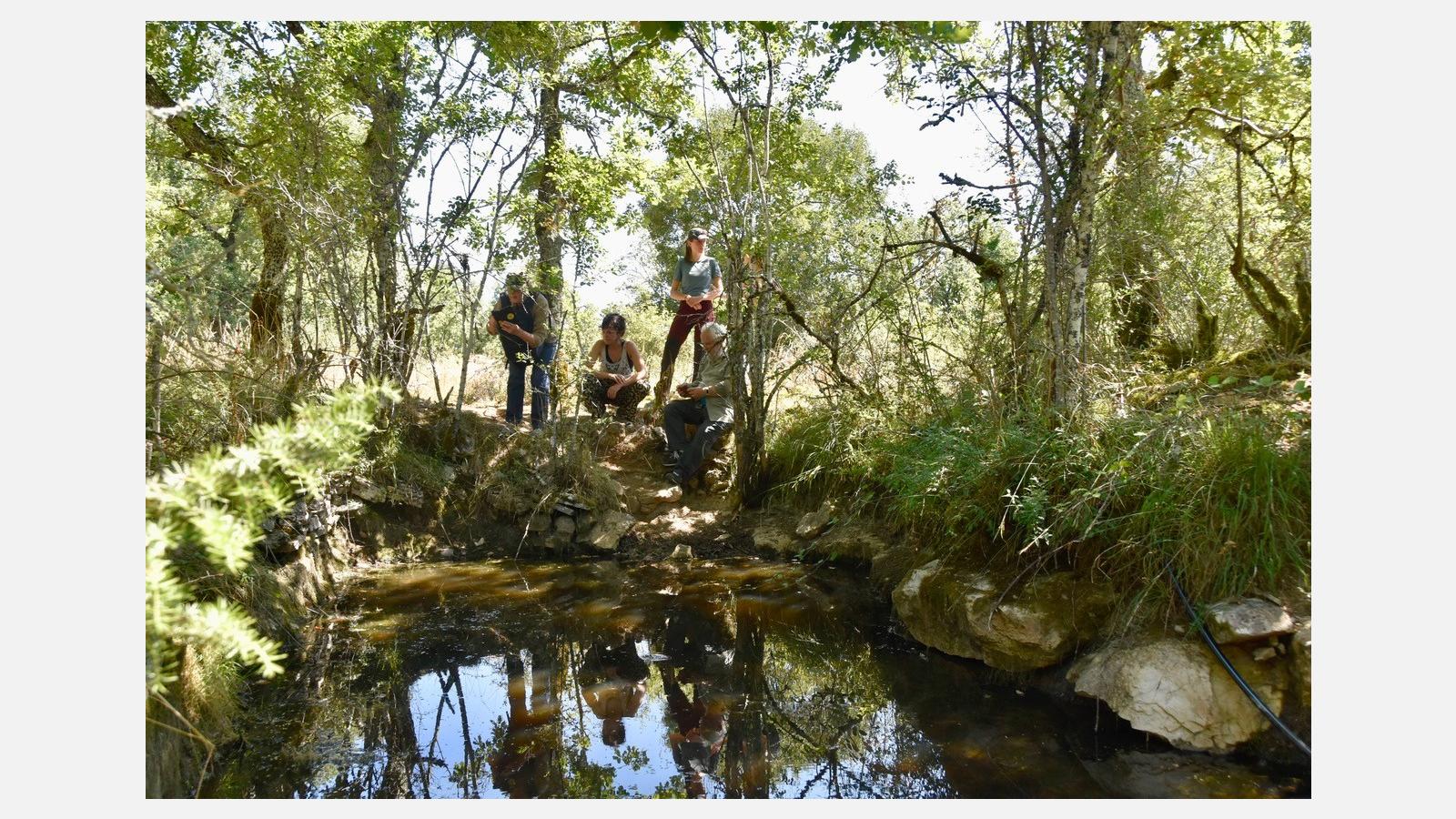 Découverte des amphibiens sur le Sentier de Lou Finot