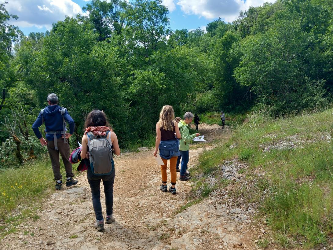 Découverte de la biodiversité dans le vallon de Saint-Symphorien