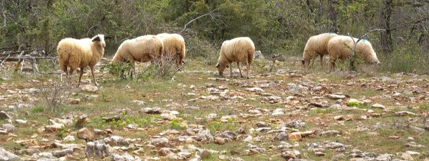 Décoration de fond pour  